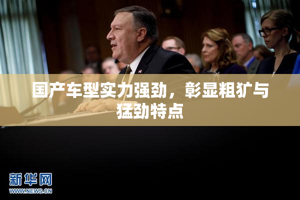 国产车型实力强劲，彰显粗犷与猛劲特点
