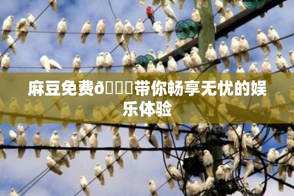 麻豆免费🔞带你畅享无忧的娱乐体验