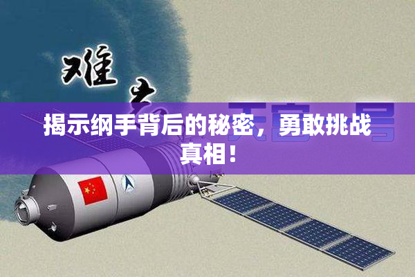 揭示纲手背后的秘密，勇敢挑战真相！