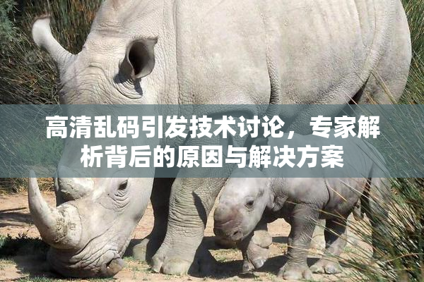高清乱码引发技术讨论，专家解析背后的原因与解决方案