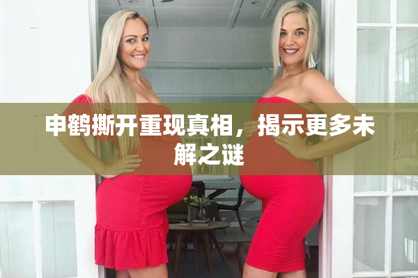 申鹤撕开重现真相，揭示更多未解之谜
