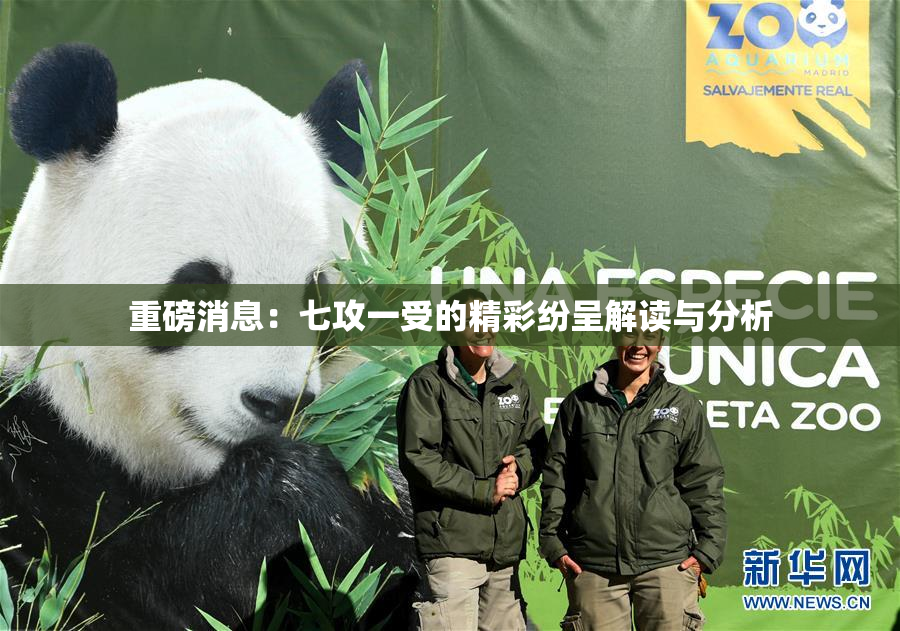 重磅消息：七攻一受的精彩纷呈解读与分析