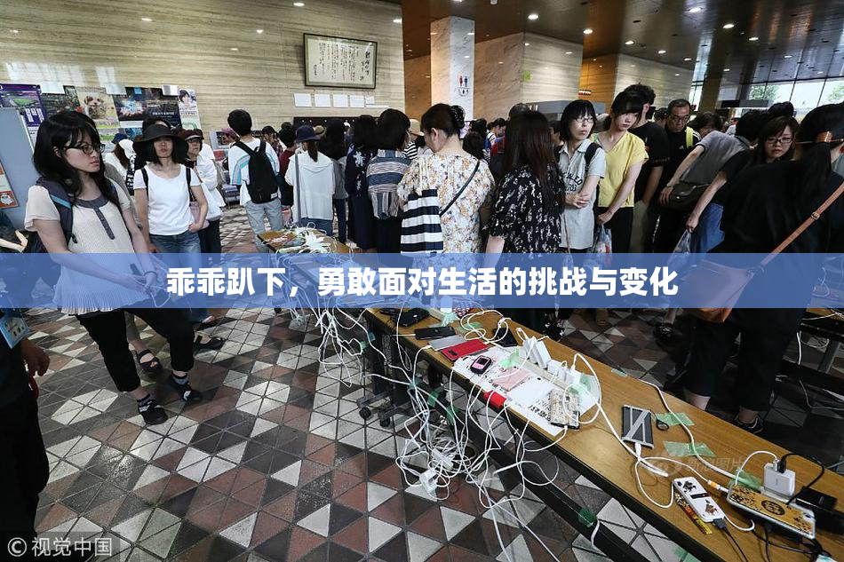 乖乖趴下，勇敢面对生活的挑战与变化