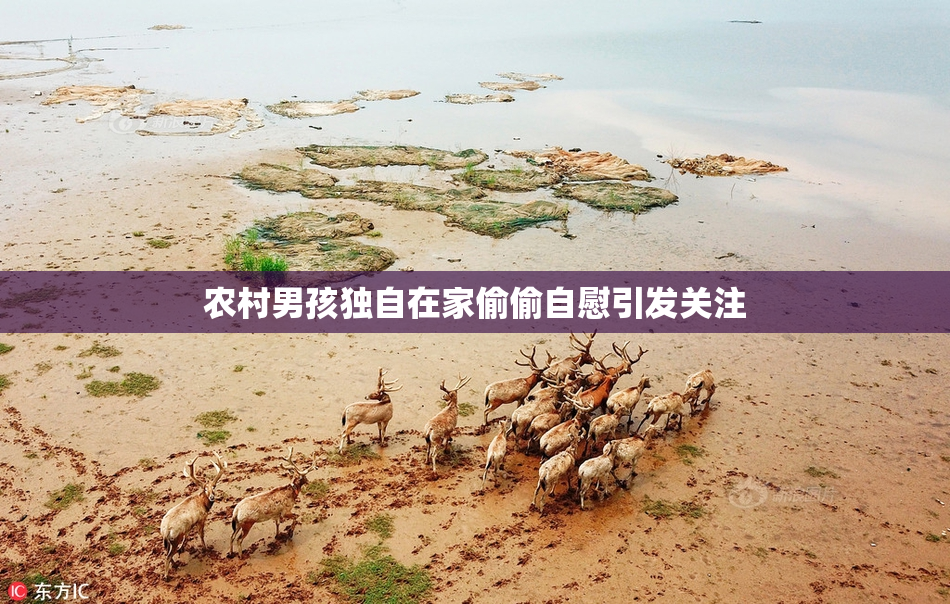 农村男孩独自在家偷偷自慰引发关注