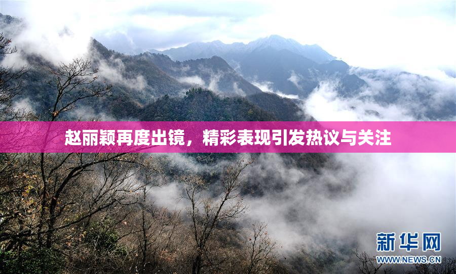 赵丽颖再度出镜，精彩表现引发热议与关注