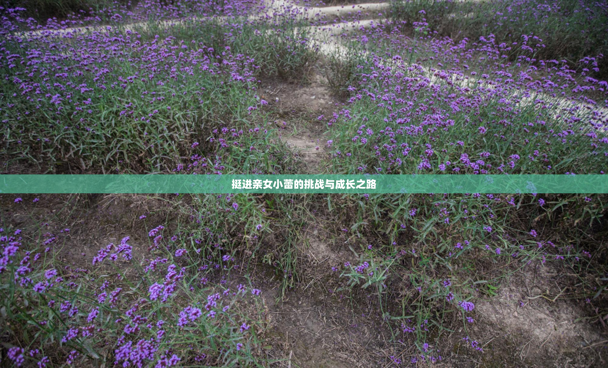 挺进亲女小蕾的挑战与成长之路