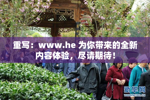 重写：www.he 为你带来的全新内容体验，尽请期待！