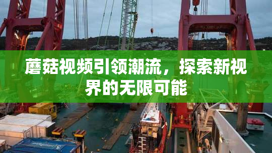 蘑菇视频引领潮流，探索新视界的无限可能