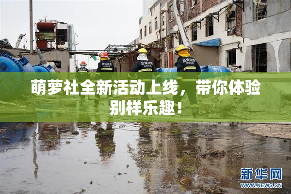 萌萝社全新活动上线，带你体验别样乐趣！