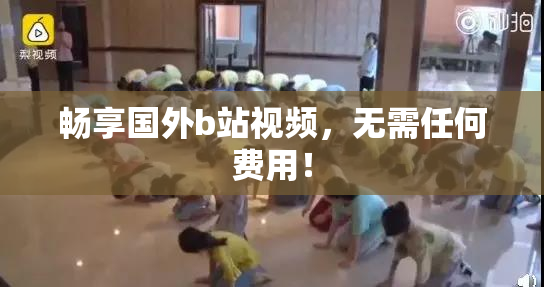 畅享国外b站视频，无需任何费用！