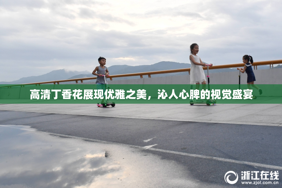 高清丁香花展现优雅之美，沁人心脾的视觉盛宴