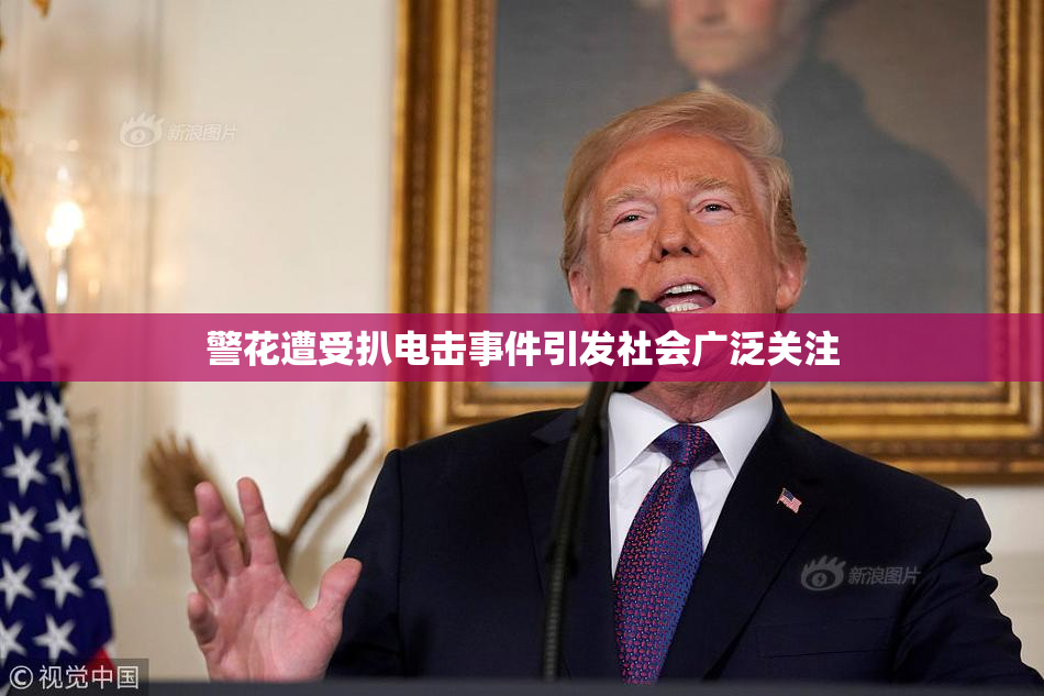 警花遭受扒电击事件引发社会广泛关注