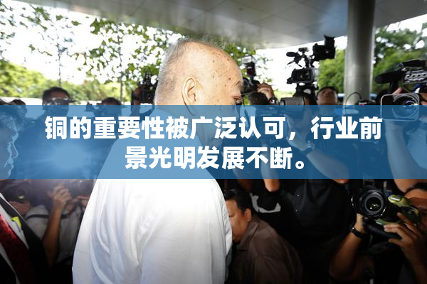铜的重要性被广泛认可，行业前景光明发展不断。
