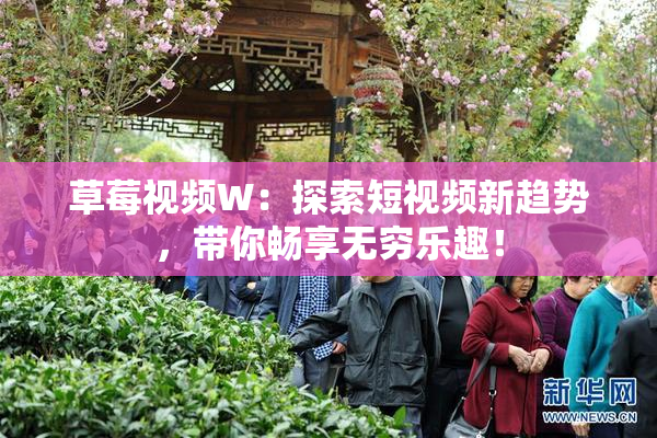 草莓视频W：探索短视频新趋势，带你畅享无穷乐趣！