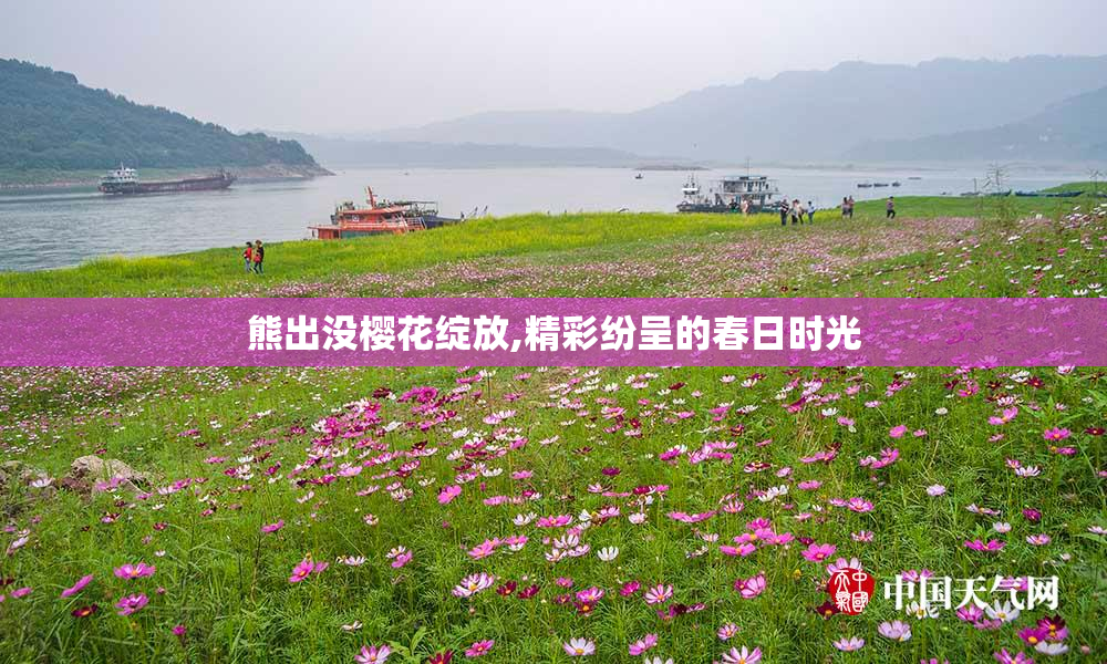 熊出没樱花绽放,精彩纷呈的春日时光