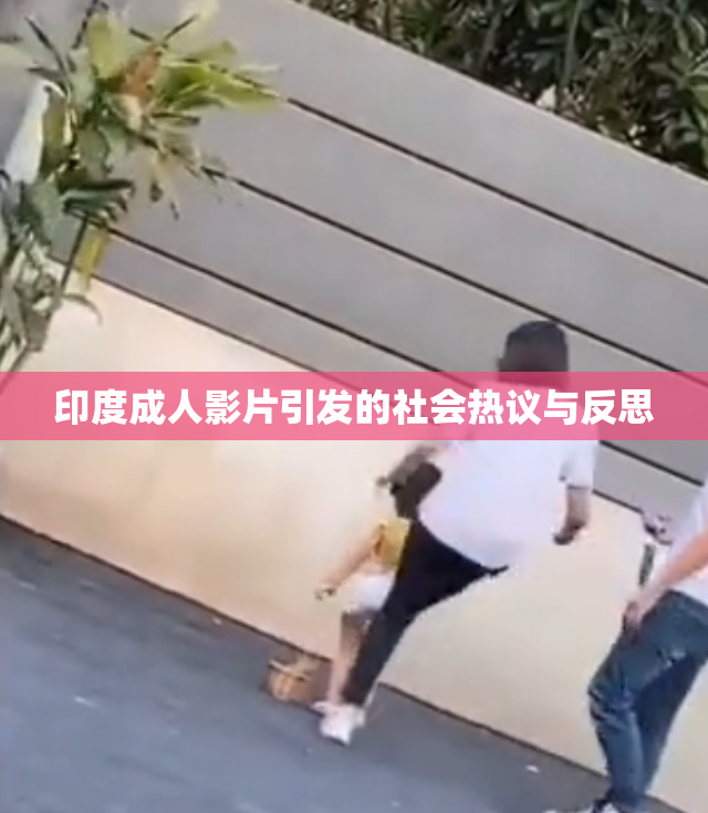 印度成人影片引发的社会热议与反思