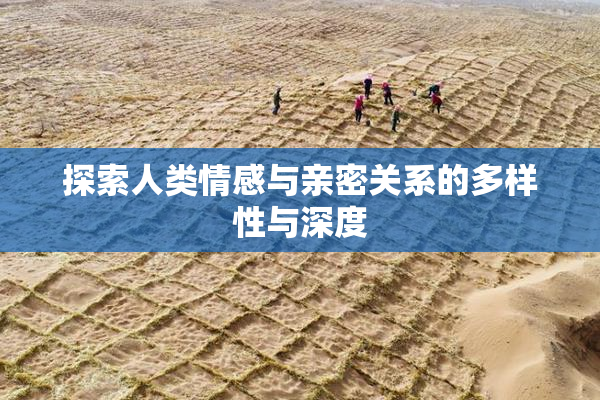 探索人类情感与亲密关系的多样性与深度