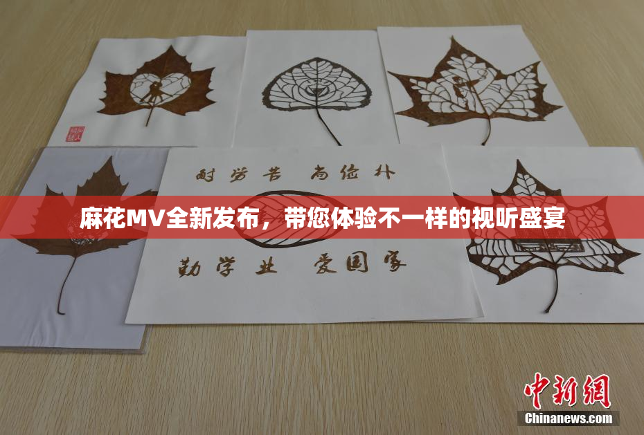 麻花MV全新发布，带您体验不一样的视听盛宴