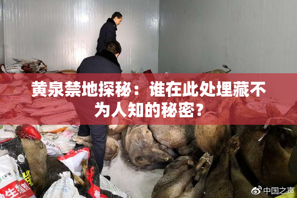 黄泉禁地探秘：谁在此处埋藏不为人知的秘密？