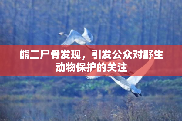 熊二尸骨发现，引发公众对野生动物保护的关注