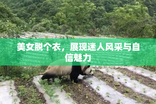 美女脱个衣，展现迷人风采与自信魅力