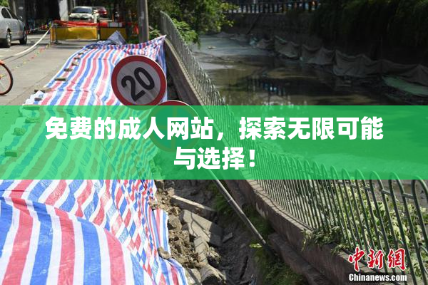 免费的成人网站，探索无限可能与选择！