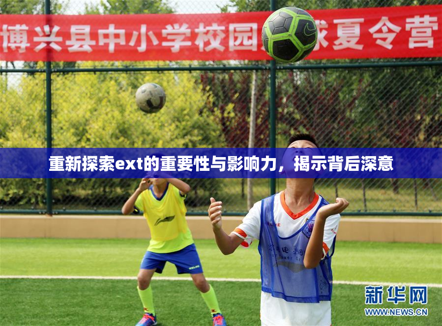重新探索ext的重要性与影响力，揭示背后深意