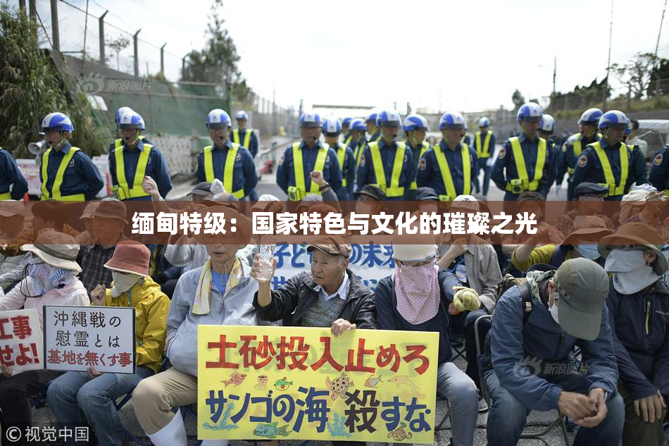 缅甸特级：国家特色与文化的璀璨之光