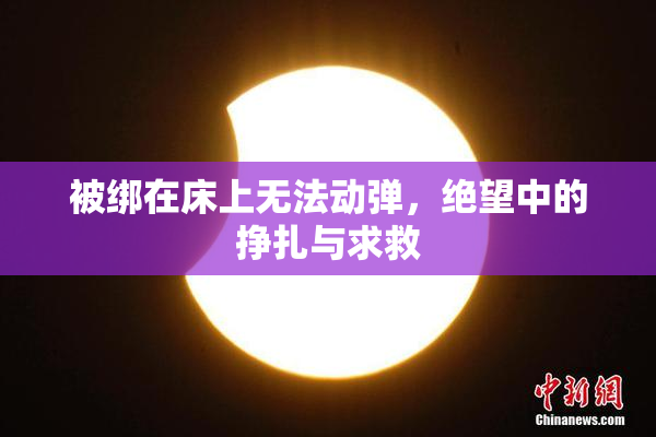被绑在床上无法动弹，绝望中的挣扎与求救
