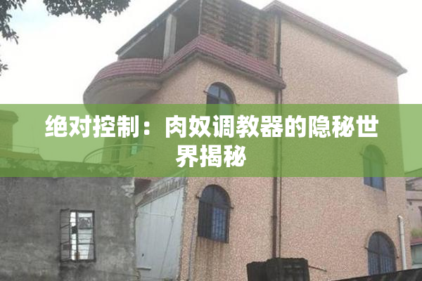 绝对控制：肉奴调教器的隐秘世界揭秘