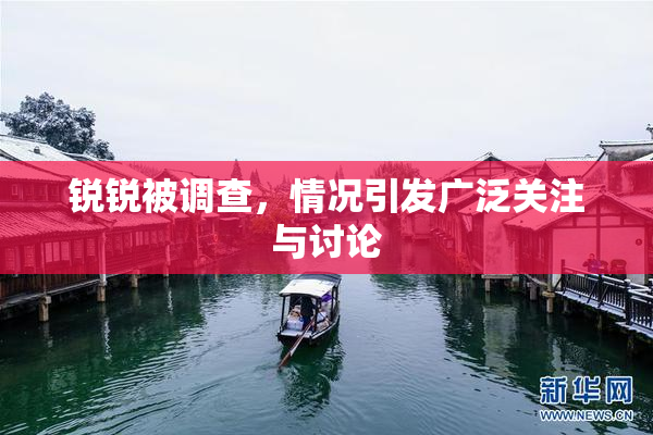 锐锐被调查，情况引发广泛关注与讨论