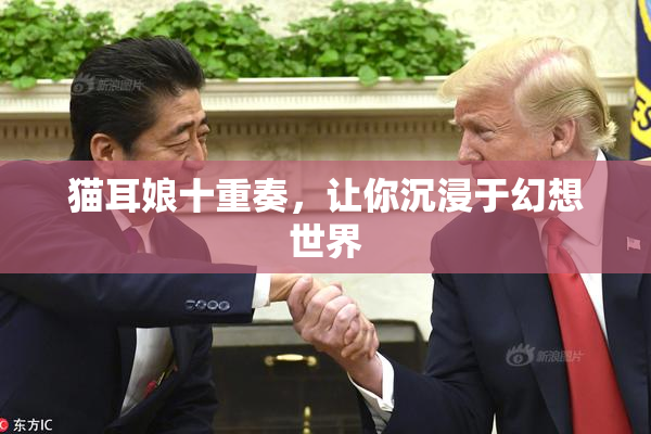 猫耳娘十重奏，让你沉浸于幻想世界