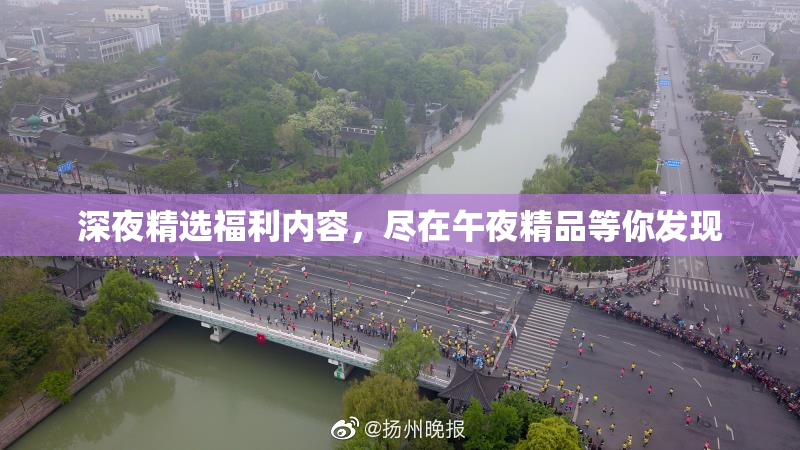深夜精选福利内容，尽在午夜精品等你发现