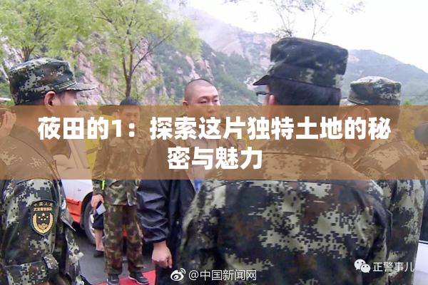 莜田的1：探索这片独特土地的秘密与魅力