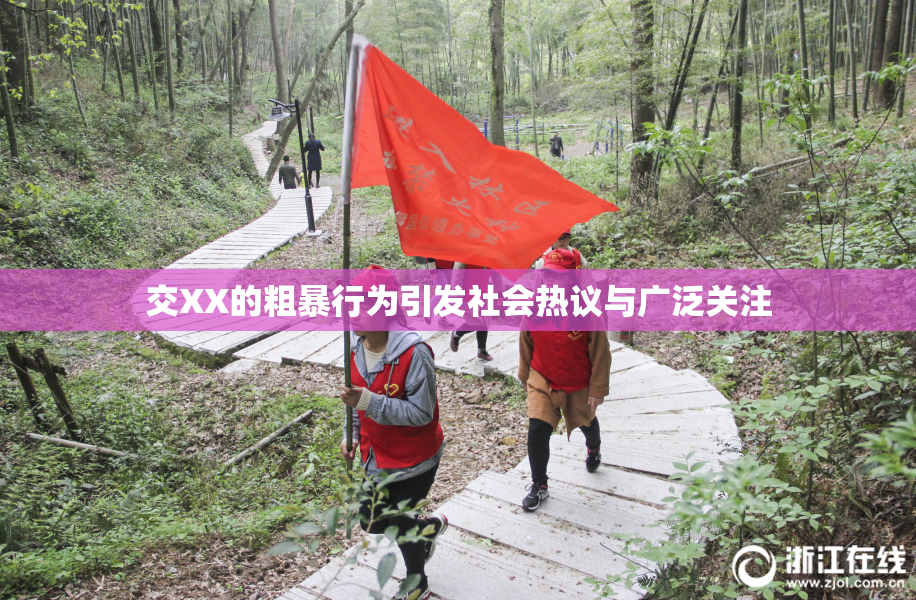 交XX的粗暴行为引发社会热议与广泛关注