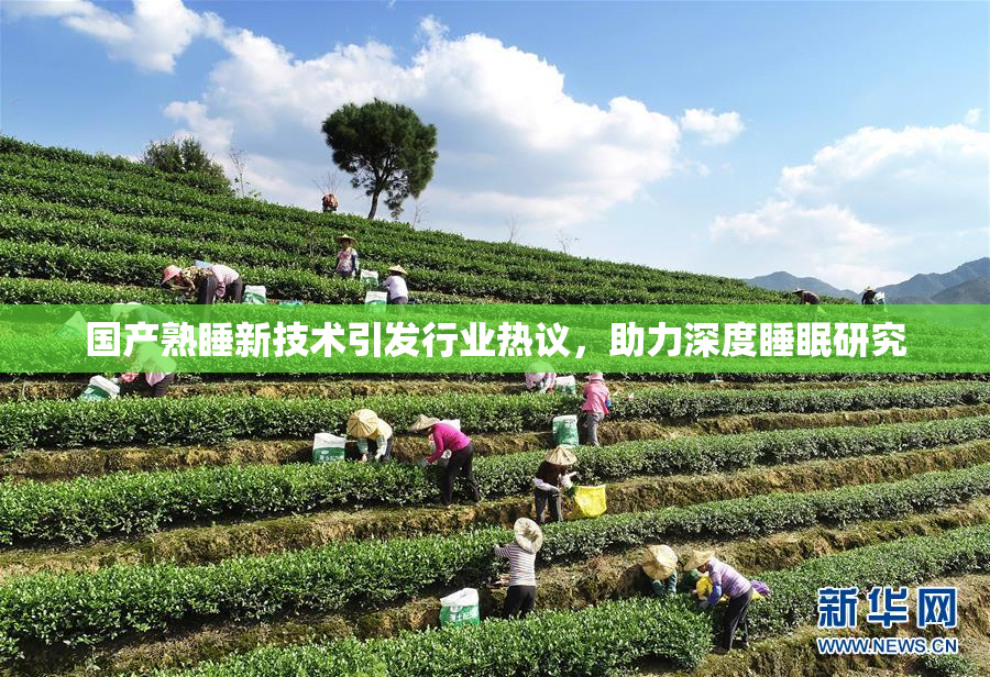 国产熟睡新技术引发行业热议，助力深度睡眠研究