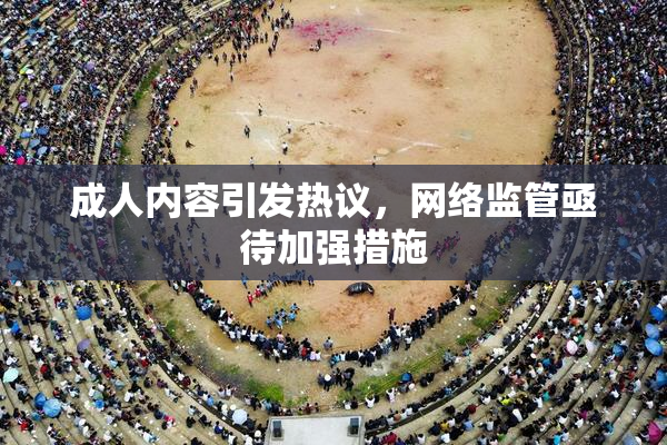 成人内容引发热议，网络监管亟待加强措施