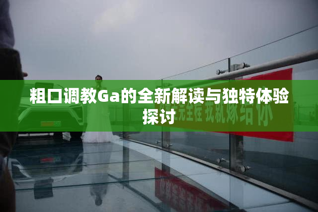 粗口调教Ga的全新解读与独特体验探讨