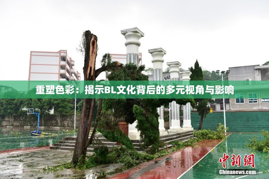 重塑色彩：揭示BL文化背后的多元视角与影响