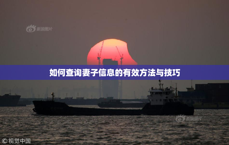 如何查询妻子信息的有效方法与技巧