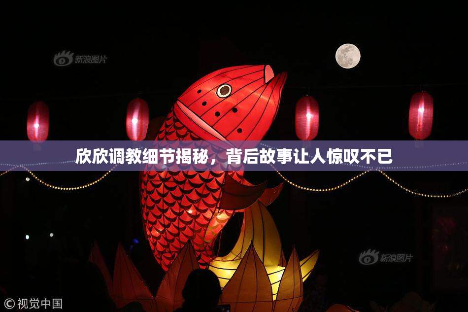 欣欣调教细节揭秘，背后故事让人惊叹不已