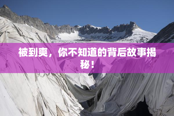 被到爽，你不知道的背后故事揭秘！