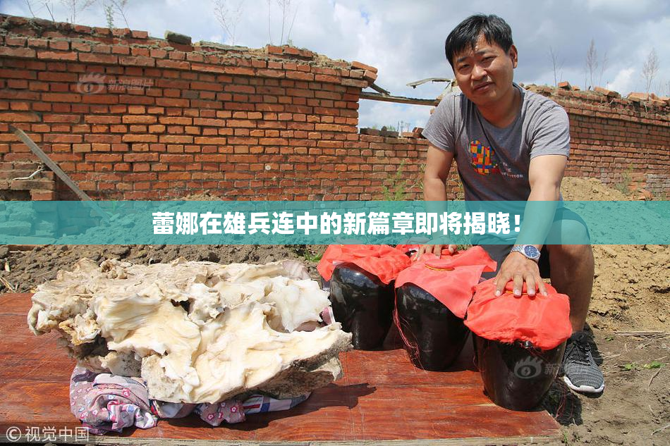 蕾娜在雄兵连中的新篇章即将揭晓！