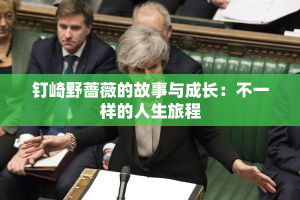 钉崎野蔷薇的故事与成长：不一样的人生旅程