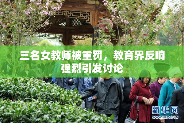 三名女教师被重罚，教育界反响强烈引发讨论