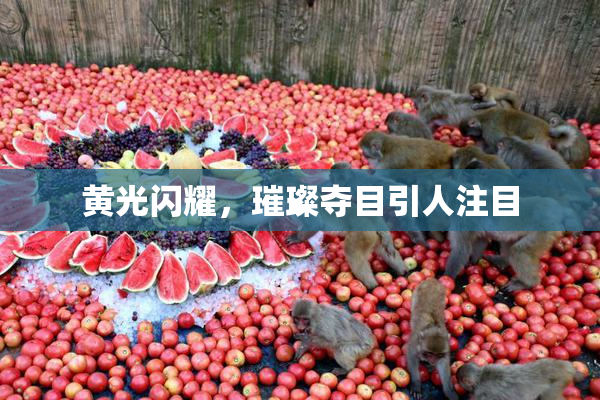 黄光闪耀，璀璨夺目引人注目