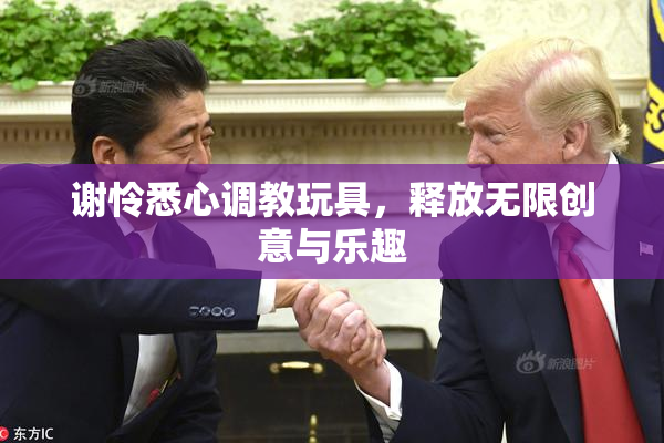 谢怜悉心调教玩具，释放无限创意与乐趣