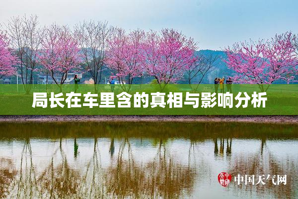 局长在车里含的真相与影响分析
