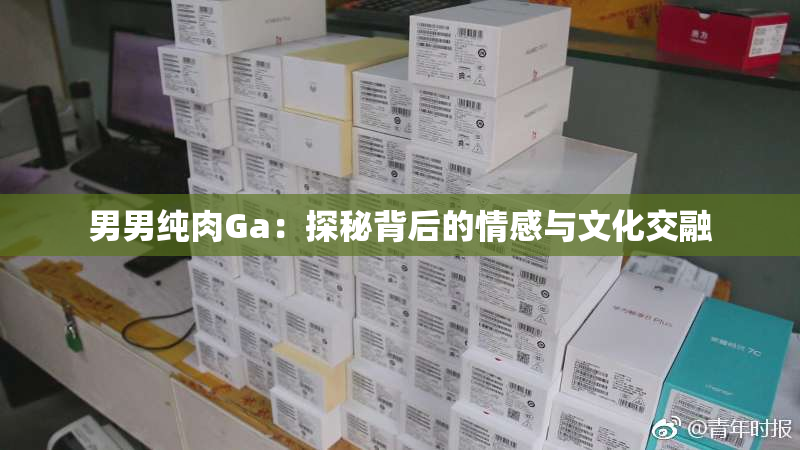 男男纯肉Ga：探秘背后的情感与文化交融