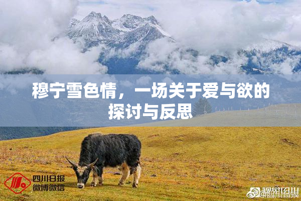 穆宁雪色情，一场关于爱与欲的探讨与反思